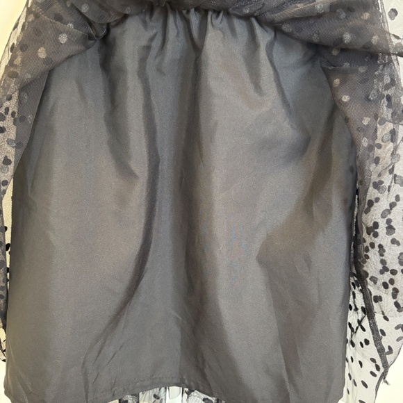 Mesh Polka Dot Skirt - Picture 3 of 3